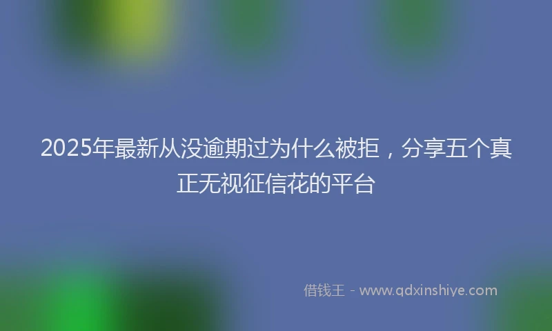 2025年最新从没逾期过为什么被拒，分享五个真正无视征信花的平台