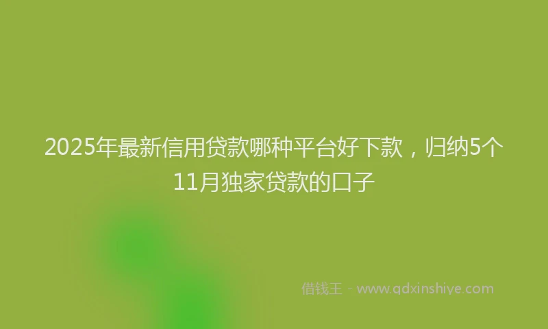 2025年最新信用贷款哪种平台好下款，归纳5个11月独家贷款的口子