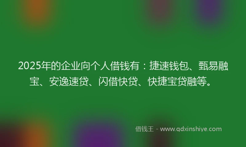 2025年的企业向个人借钱有：捷速钱包、甄易融宝、安逸速贷、闪借快贷、快捷宝贷融等。