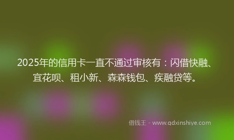 2025年的信用卡一直不通过审核有：闪借快融、宜花呗、租小新、森森钱包、疾融贷等。