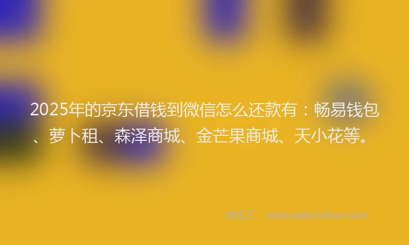 2025年的京东借钱到微信怎么还款有：畅易钱包、萝卜租、森泽商城、金芒果商城、天小花等。
