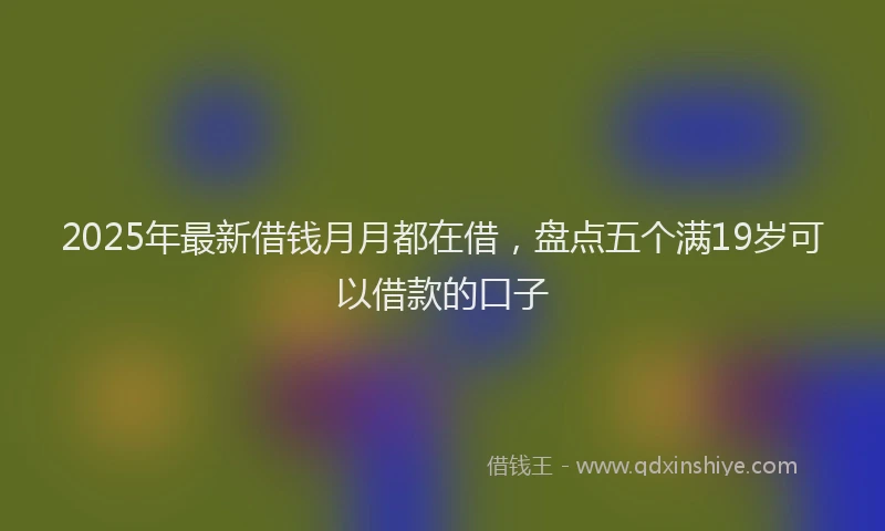 2025年最新借钱月月都在借，盘点五个满19岁可以借款的口子
