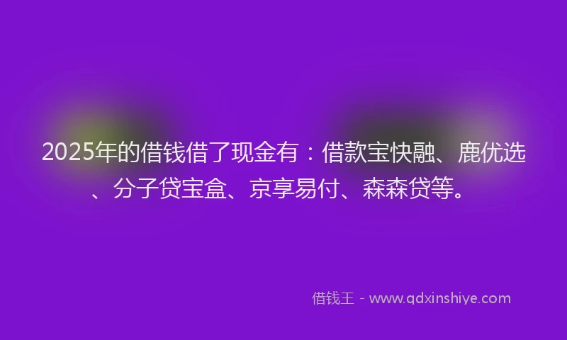 2025年的借钱借了现金有：借款宝快融、鹿优选、分子贷宝盒、京享易付、森森贷等。