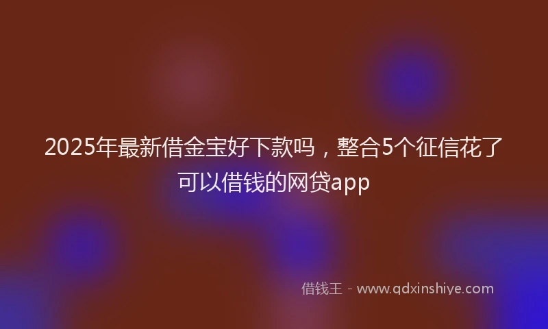 2025年最新借金宝好下款吗，整合5个征信花了可以借钱的网贷app
