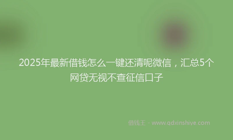 2025年最新借钱怎么一键还清呢微信，汇总5个网贷无视不查征信口子