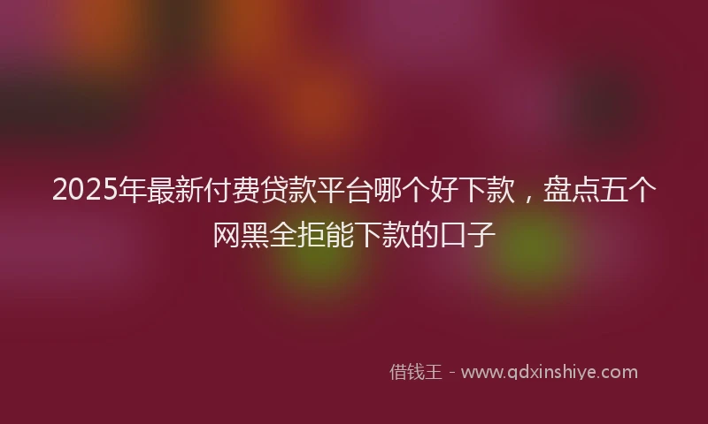 2025年最新付费贷款平台哪个好下款，盘点五个网黑全拒能下款的口子