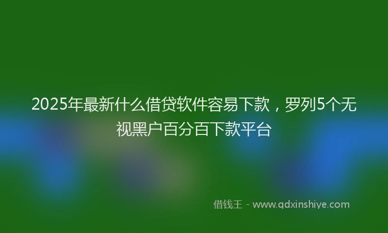 2025年最新什么借贷软件容易下款，罗列5个无视黑户百分百下款平台