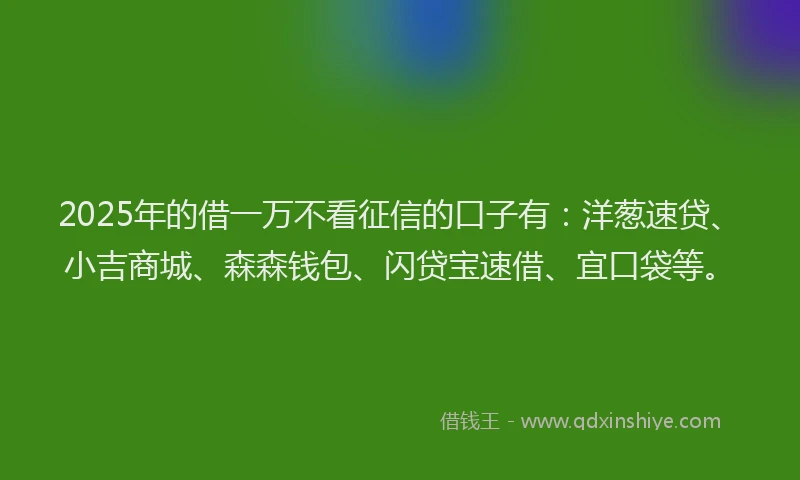 2025年的借一万不看征信的口子有：洋葱速贷、小吉商城、森森钱包、闪贷宝速借、宜口袋等。