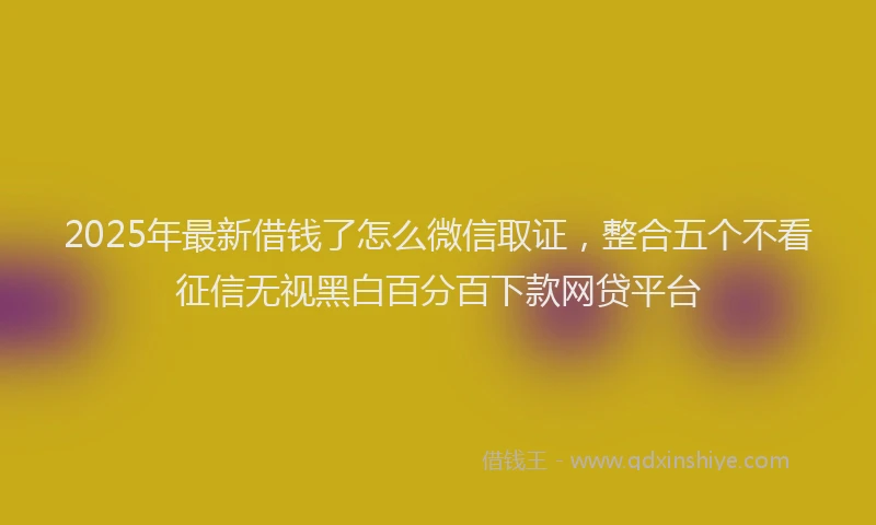 2025年最新借钱了怎么微信取证，整合五个不看征信无视黑白百分百下款网贷平台