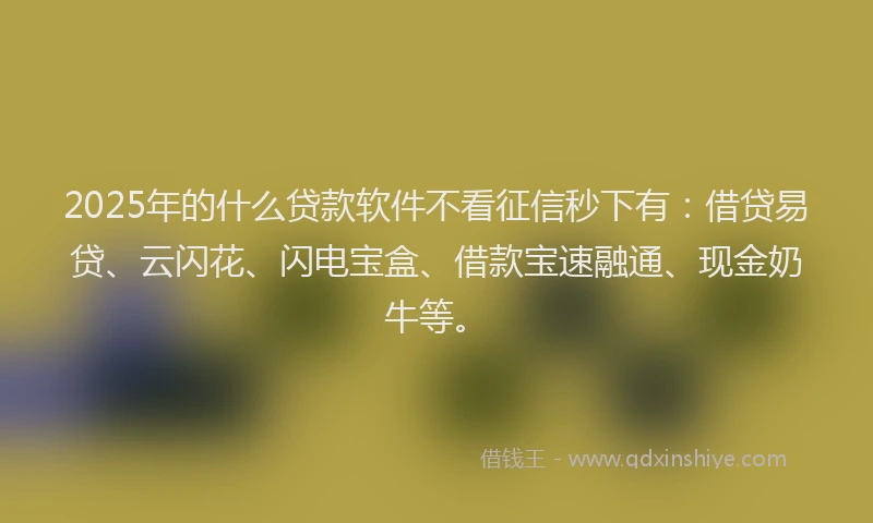 2025年的什么贷款软件不看征信秒下有：借贷易贷、云闪花、闪电宝盒、借款宝速融通、现金奶牛等。
