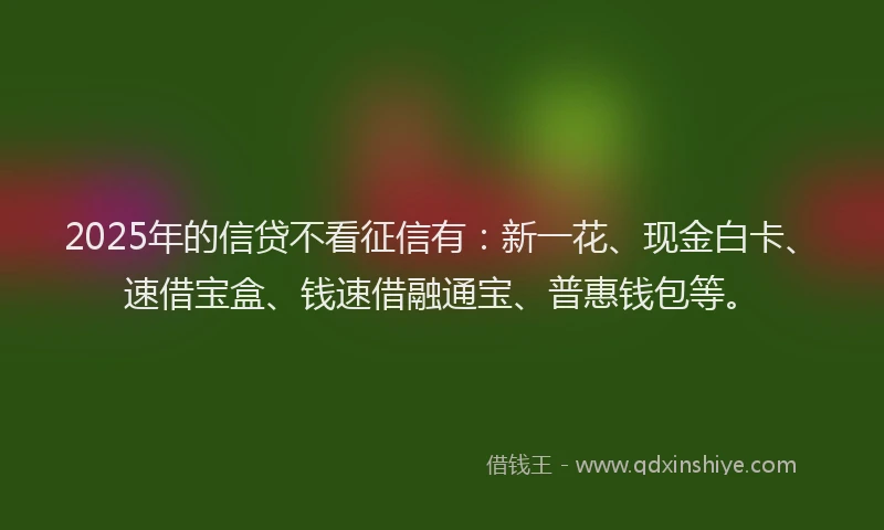 2025年的信贷不看征信有：新一花、现金白卡、速借宝盒、钱速借融通宝、普惠钱包等。