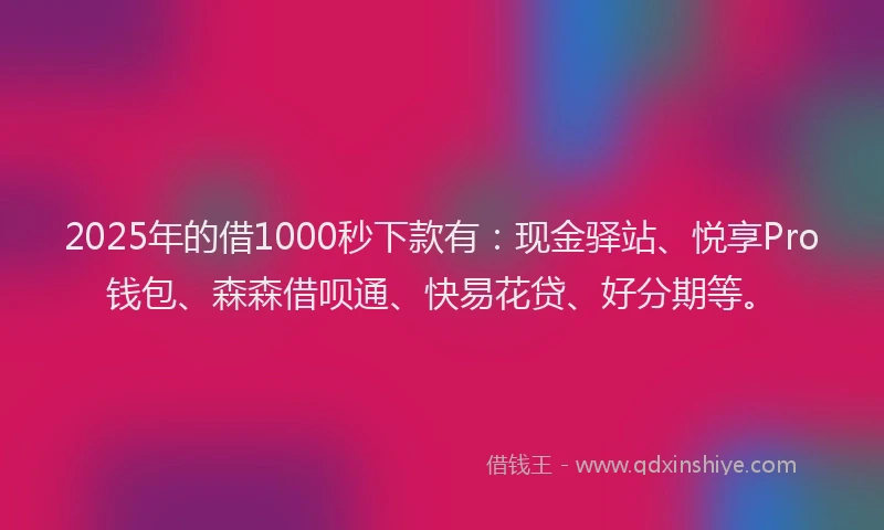 2025年的借1000秒下款有：现金驿站、悦享Pro钱包、森森借呗通、快易花贷、好分期等。