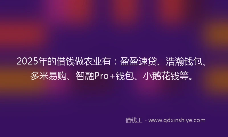 2025年的借钱做农业有：盈盈速贷、浩瀚钱包、多米易购、智融Pro+钱包、小鹅花钱等。