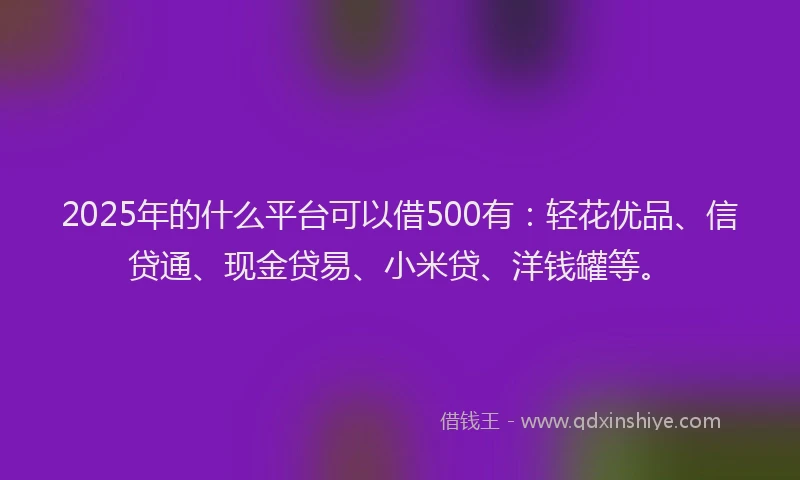 2025年的什么平台可以借500有：轻花优品、信贷通、现金贷易、小米贷、洋钱罐等。