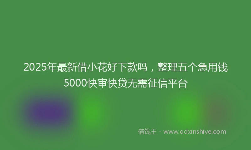2025年最新借小花好下款吗，整理五个急用钱5000快审快贷无需征信平台