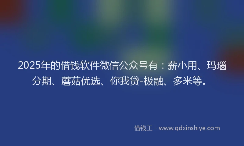 2025年的借钱软件微信公众号有：薪小用、玛瑙分期、蘑菇优选、你我贷-极融、多米等。