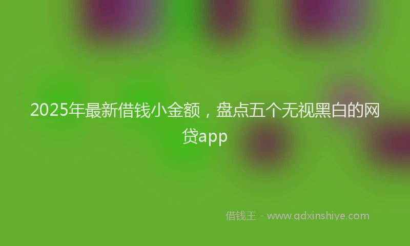 2025年最新借钱小金额，盘点五个无视黑白的网贷app