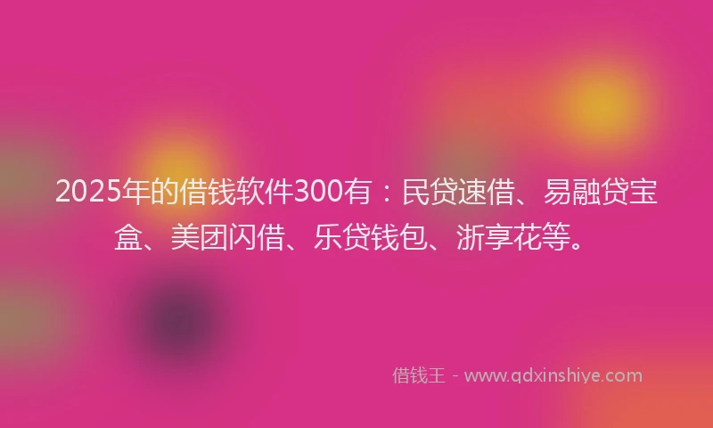 2025年的借钱软件300有：民贷速借、易融贷宝盒、美团闪借、乐贷钱包、浙享花等。