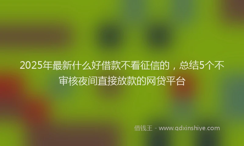 2025年最新什么好借款不看征信的，总结5个不审核夜间直接放款的网贷平台