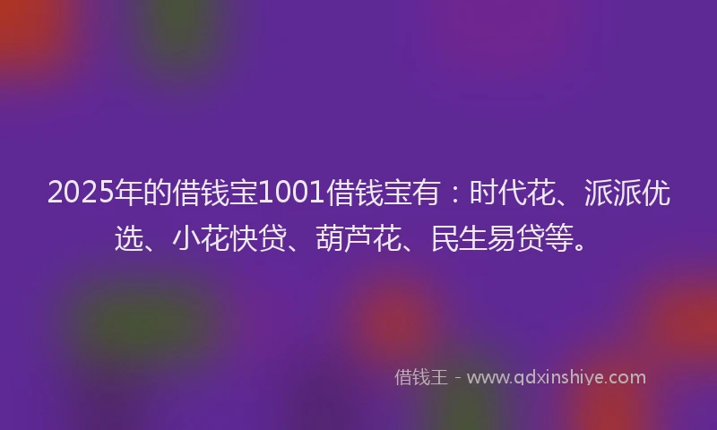 2025年的借钱宝1001借钱宝有：时代花、派派优选、小花快贷、葫芦花、民生易贷等。