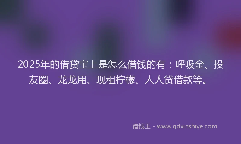 2025年的借贷宝上是怎么借钱的有：呼吸金、投友圈、龙龙用、现租柠檬、人人贷借款等。