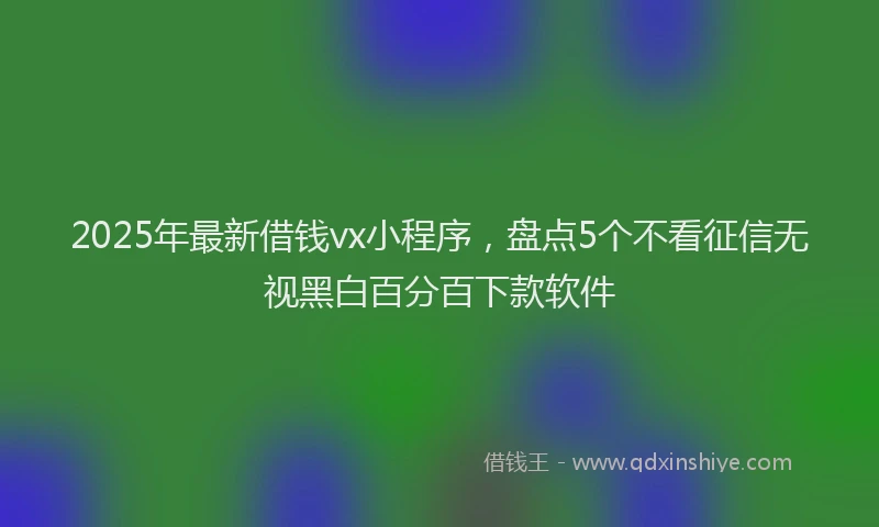 2025年最新借钱vx小程序，盘点5个不看征信无视黑白百分百下款软件