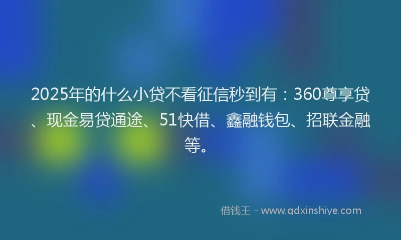 2025年的什么小贷不看征信秒到有：360尊享贷、现金易贷通途、51快借、鑫融钱包、招联金融等。