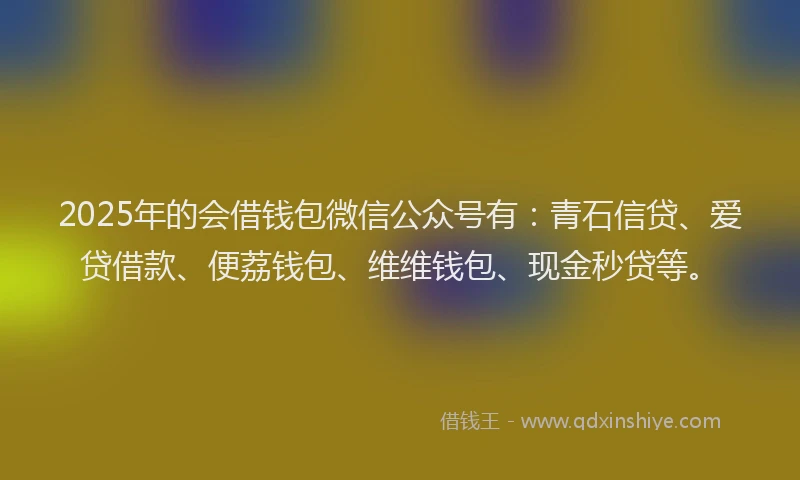2025年的会借钱包微信公众号有：青石信贷、爱贷借款、便荔钱包、维维钱包、现金秒贷等。