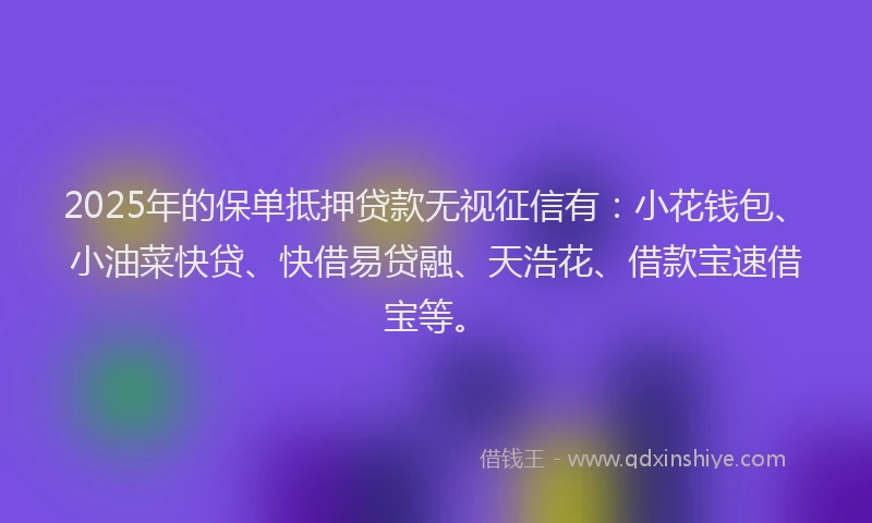 2025年的保单抵押贷款无视征信有：小花钱包、小油菜快贷、快借易贷融、天浩花、借款宝速借宝等。