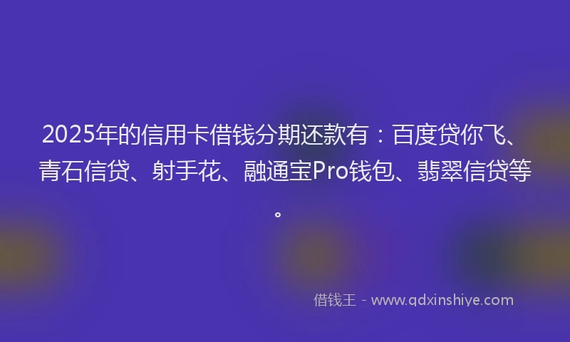 2025年的信用卡借钱分期还款有：百度贷你飞、青石信贷、射手花、融通宝Pro钱包、翡翠信贷等。