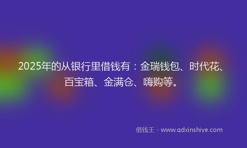2025年的从银行里借钱有：金瑞钱包、时代花、百宝箱、金满仓、嗨购等。