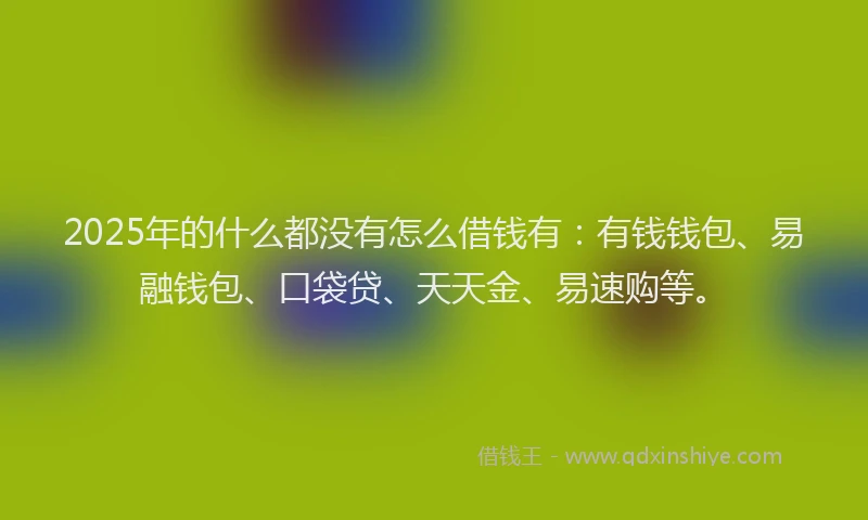2025年的什么都没有怎么借钱有：有钱钱包、易融钱包、口袋贷、天天金、易速购等。