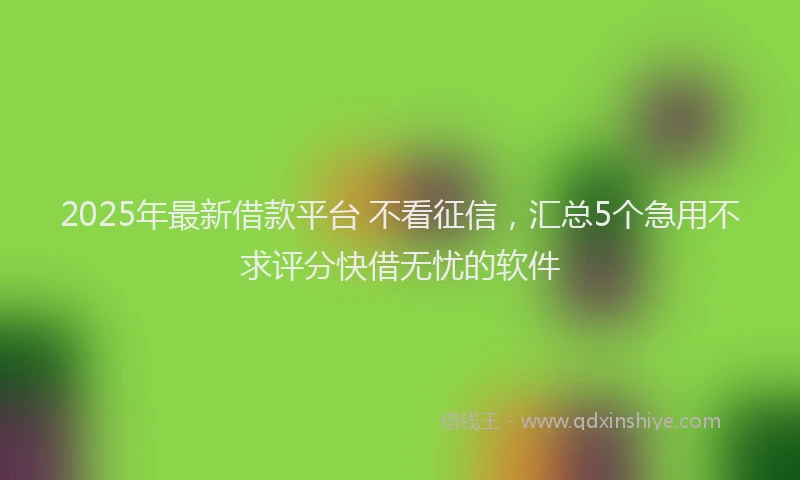 2025年最新借款平台 不看征信，汇总5个急用不求评分快借无忧的软件
