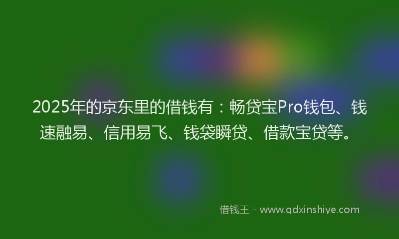 2025年的京东里的借钱有：畅贷宝Pro钱包、钱速融易、信用易飞、钱袋瞬贷、借款宝贷等。