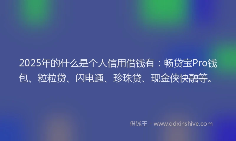 2025年的什么是个人信用借钱有：畅贷宝Pro钱包、粒粒贷、闪电通、珍珠贷、现金侠快融等。