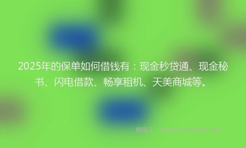 2025年的保单如何借钱有：现金秒贷通、现金秘书、闪电借款、畅享租机、天美商城等。