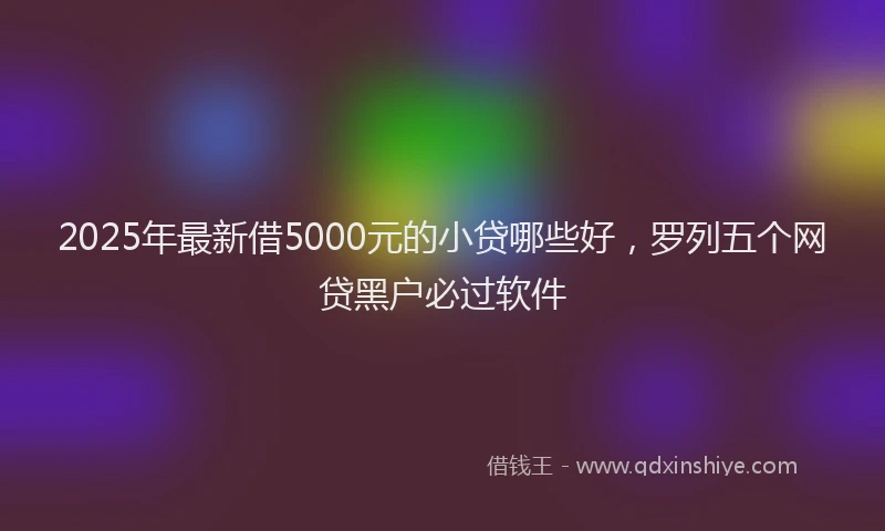 2025年最新借5000元的小贷哪些好，罗列五个网贷黑户必过软件