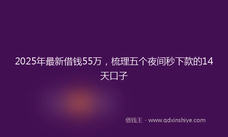 2025年最新借钱55万，梳理五个夜间秒下款的14天口子