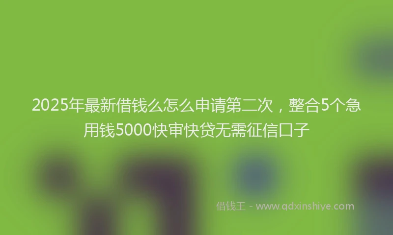 2025年最新借钱么怎么申请第二次，整合5个急用钱5000快审快贷无需征信口子