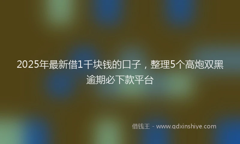 2025年最新借1千块钱的口子，整理5个高炮双黑逾期必下款平台