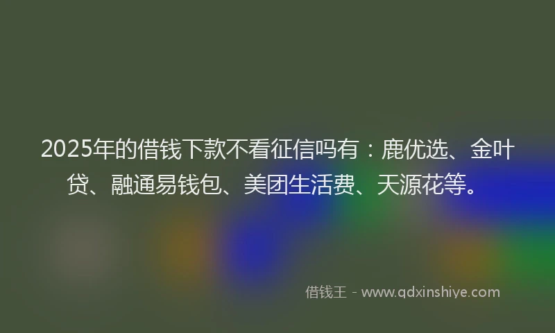 2025年的借钱下款不看征信吗有：鹿优选、金叶贷、融通易钱包、美团生活费、天源花等。