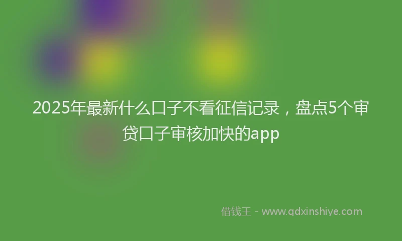 2025年最新什么口子不看征信记录，盘点5个审贷口子审核加快的app