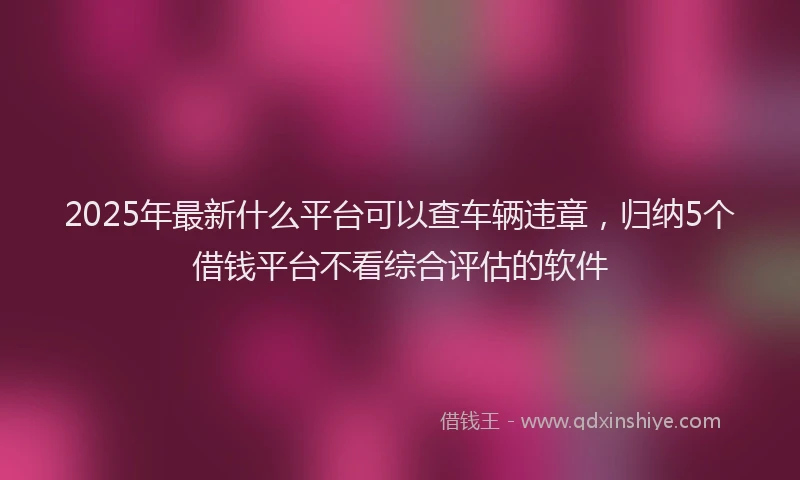 2025年最新什么平台可以查车辆违章，归纳5个借钱平台不看综合评估的软件