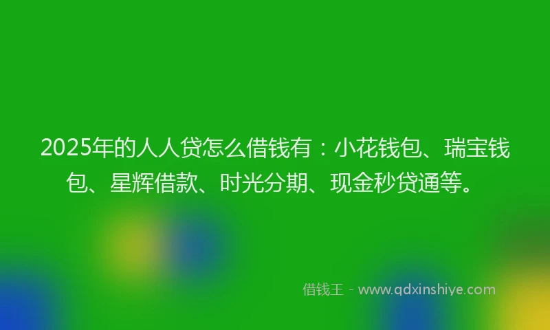 2025年的人人贷怎么借钱有：小花钱包、瑞宝钱包、星辉借款、时光分期、现金秒贷通等。