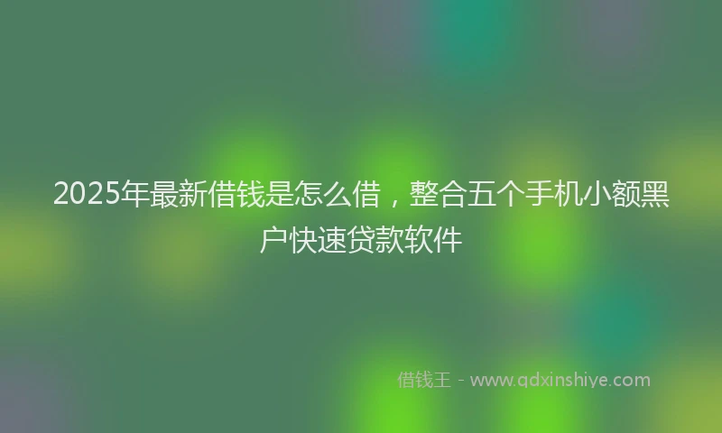 2025年最新借钱是怎么借，整合五个手机小额黑户快速贷款软件