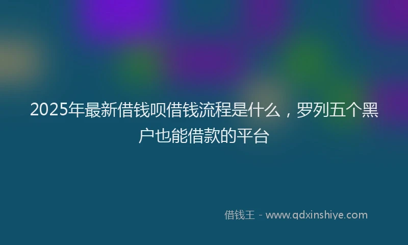 2025年最新借钱呗借钱流程是什么，罗列五个黑户也能借款的平台