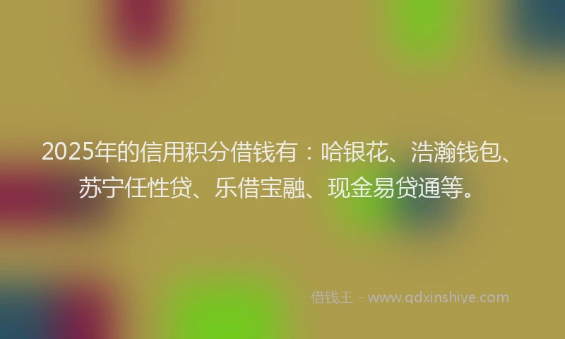 2025年的信用积分借钱有：哈银花、浩瀚钱包、苏宁任性贷、乐借宝融、现金易贷通等。