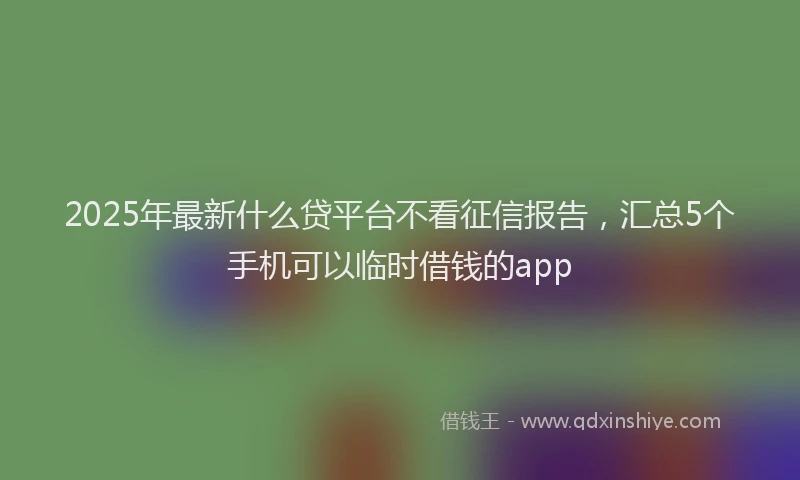 2025年最新什么贷平台不看征信报告，汇总5个手机可以临时借钱的app