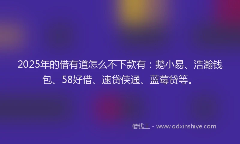 2025年的借有道怎么不下款有：鹅小易、浩瀚钱包、58好借、速贷侠通、蓝莓贷等。
