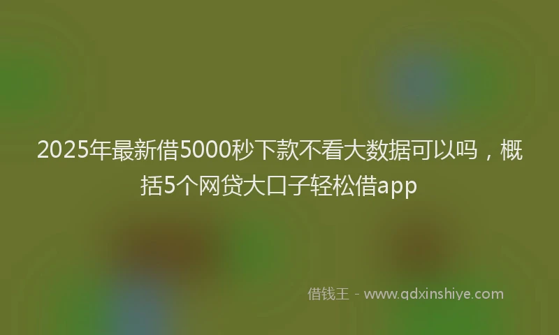 2025年最新借5000秒下款不看大数据可以吗，概括5个网贷大口子轻松借app